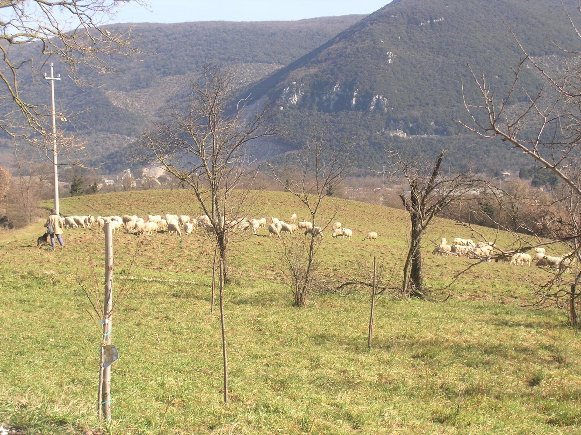 Casale Santomanno *