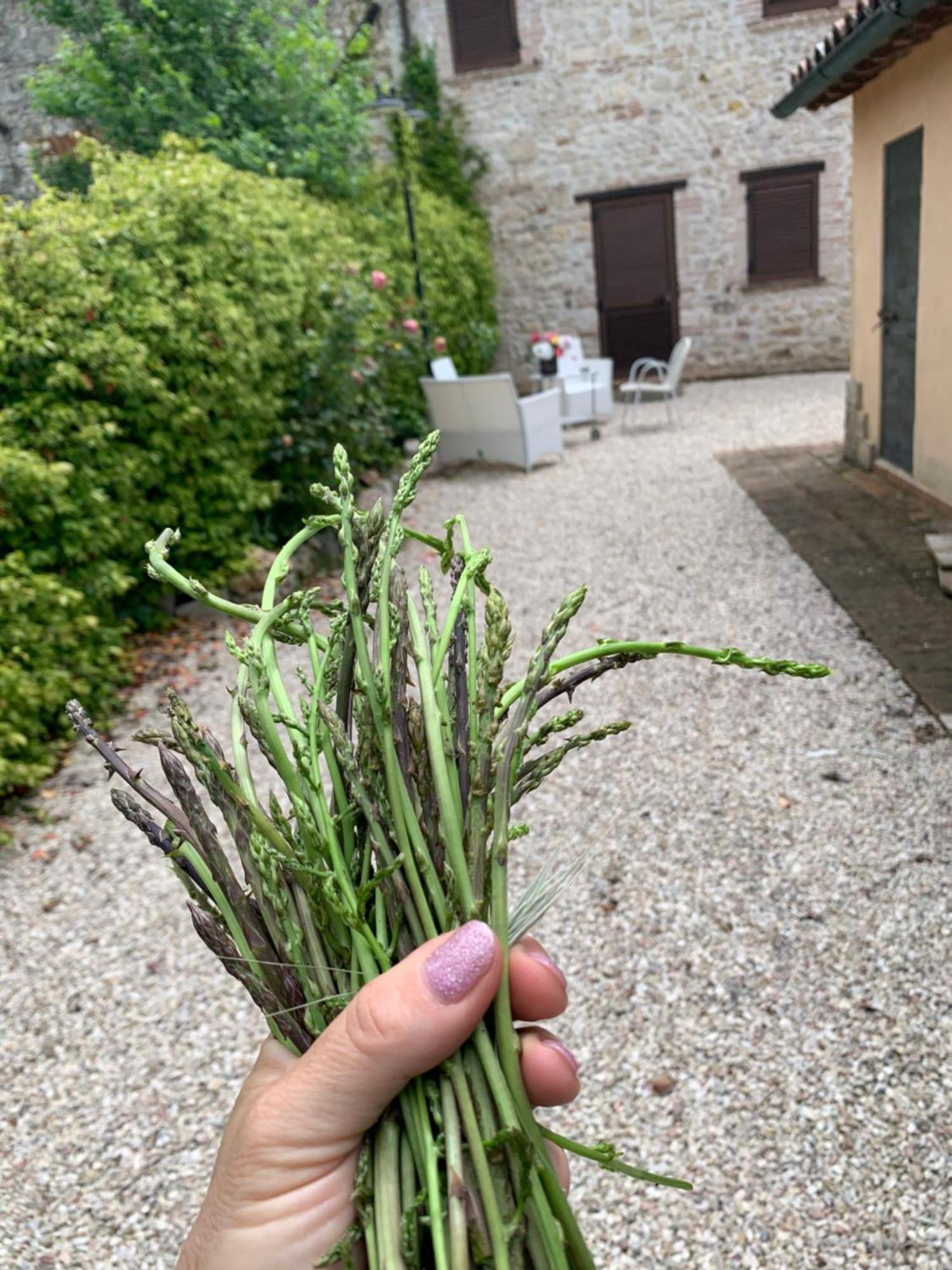 Casale Santomanno Holiday home *